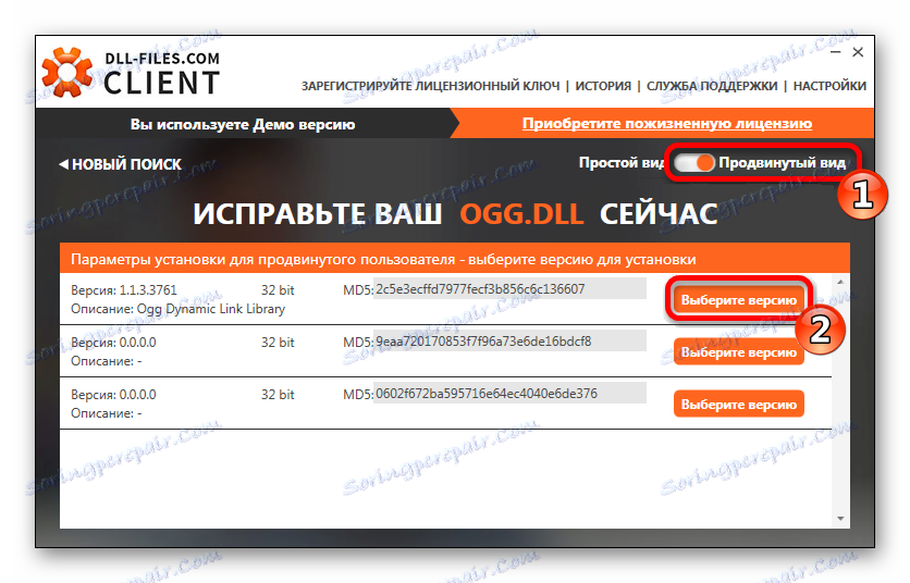 Разширен изглед на клиента на DLL-Files.com