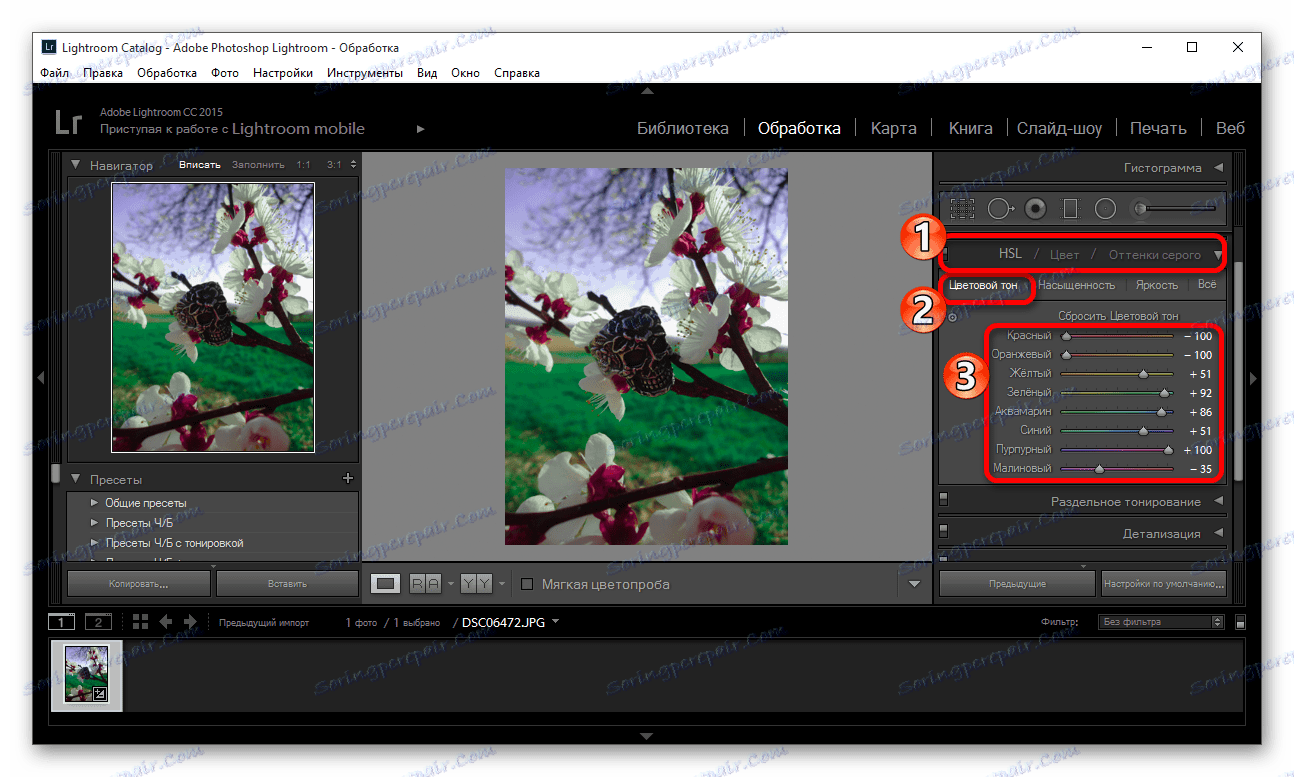 Налаштування колірного тону зображення в програмі Adobe Photoshop Lightroom