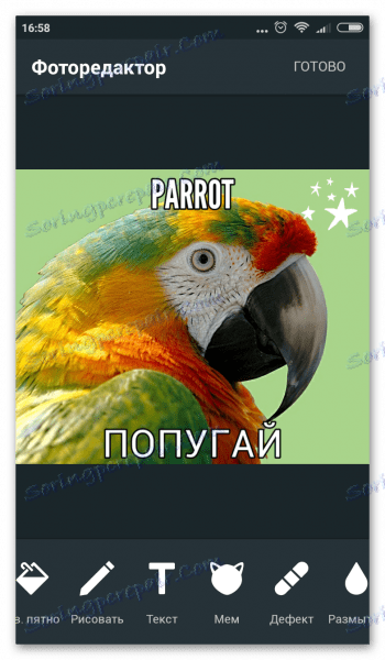 Woliera na Androida
