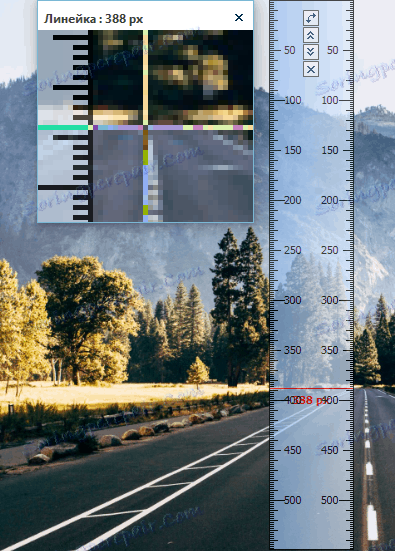 الحاكم في PicPick