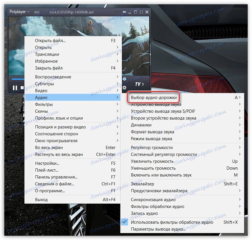 اختيار المسارات في PotPlayer