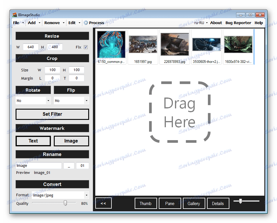 Главният прозорец на BImage Studio