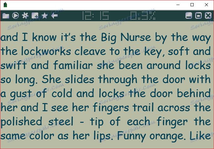 Главен прозорец на ICE Book Reader в fb2 четене на програми