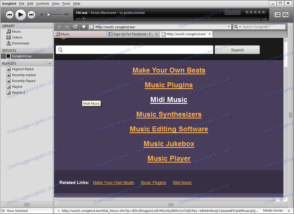 Własny portal w Songbird