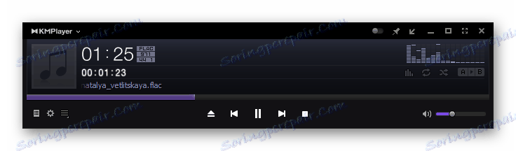 Prehrávanie zvukového súboru FLAC sa začalo v KMPlayer