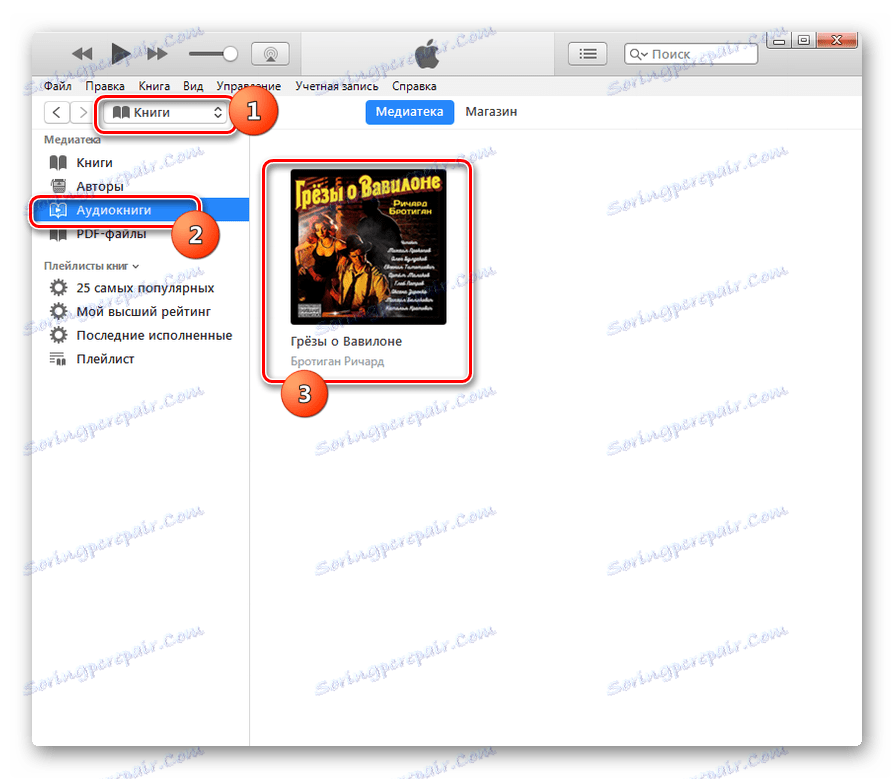 Rozpocznij odtwarzanie audiobooka M4B w iTunes