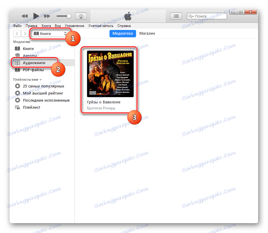 Rozpocznij odtwarzanie audiobooka M4B w iTunes