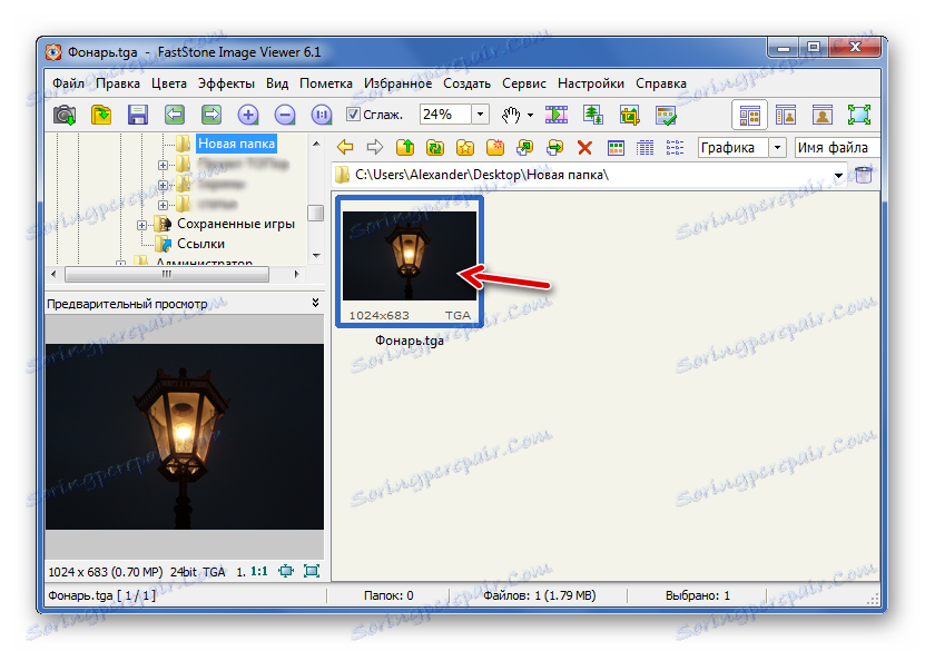 Файл TGA в режимі Попереднього перегляду FastStone Image Viewer