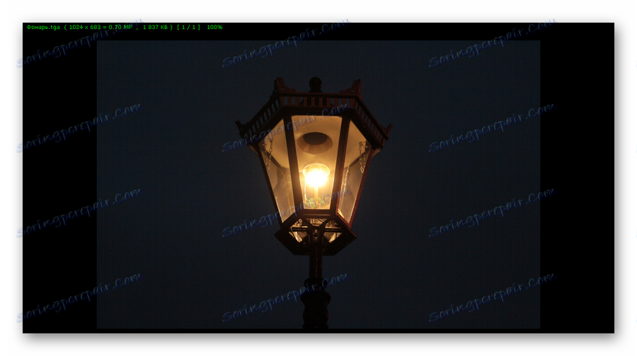 Файл TGA в режимі Попереднього перегляду FastStone Image Viewer