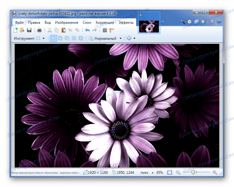 Aplikace efektu Lameography na aplikaci Paint.NET