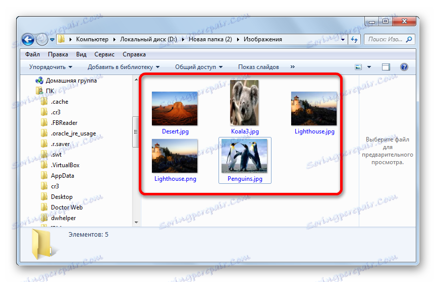 Sličice predoglednih slik v Raziskovalcu