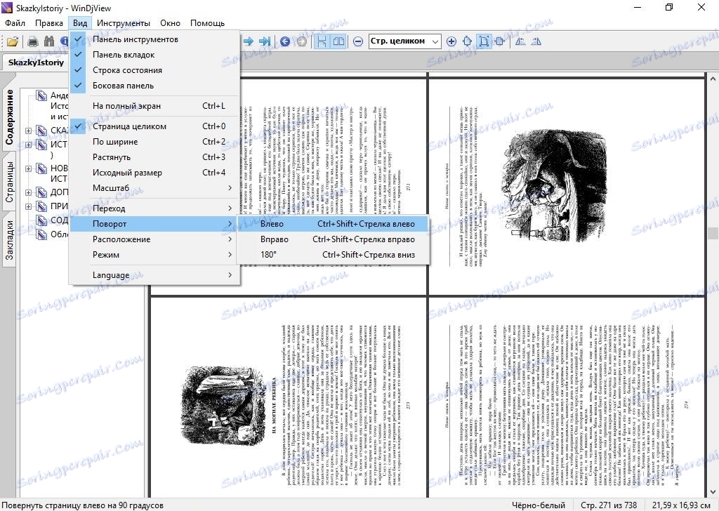 تبدیل صفحات در WinDjView